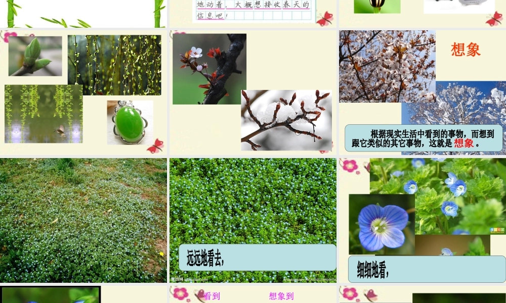 三年级语文下册 习作三《我的新发现》课件2 苏教版-苏教版小学三年级下册语文课件