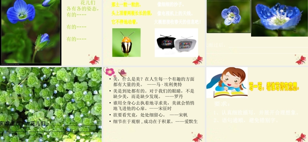 三年级语文下册 习作三《我的新发现》课件2 苏教版-苏教版小学三年级下册语文课件