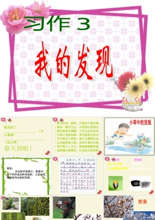 三年级语文下册 习作三《我的新发现》课件2 苏教版-苏教版小学三年级下册语文课件