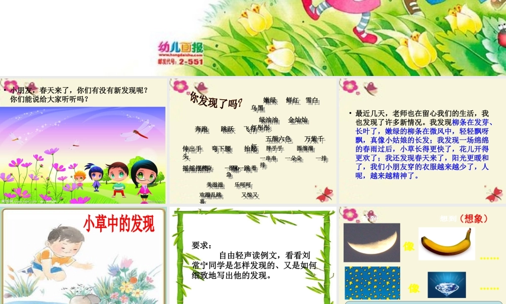 三年级语文下册 习作三《我的新发现》课件3 苏教版-苏教版小学三年级下册语文课件