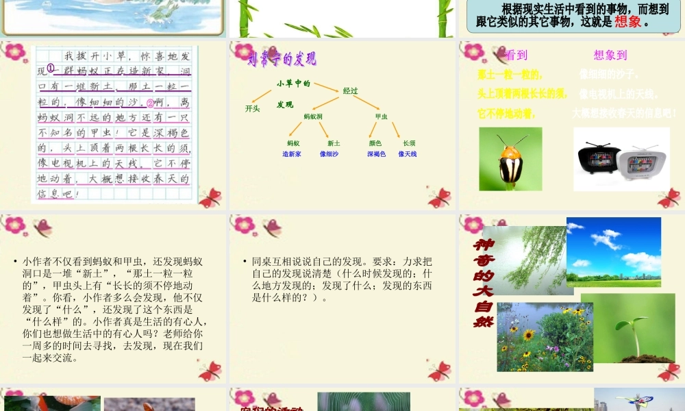 三年级语文下册 习作三《我的新发现》课件3 苏教版-苏教版小学三年级下册语文课件