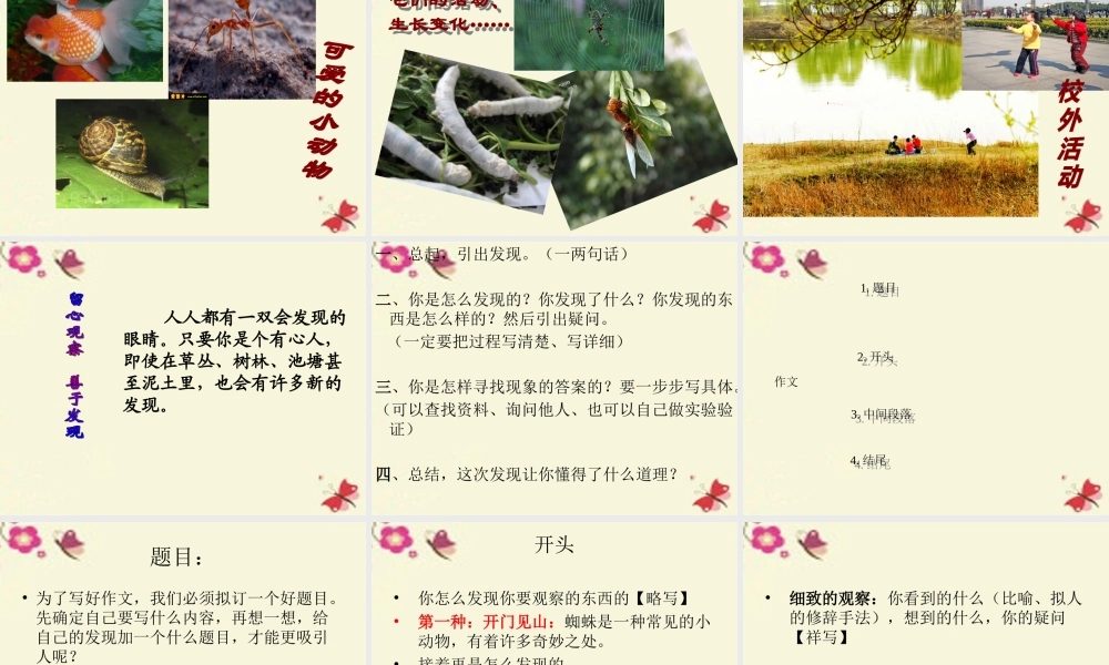 三年级语文下册 习作三《我的新发现》课件3 苏教版-苏教版小学三年级下册语文课件