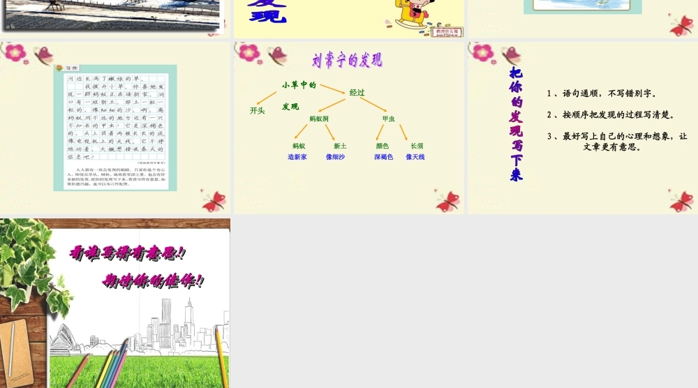 三年级语文下册 习作三《我的新发现》课件4 苏教版-苏教版小学三年级下册语文课件