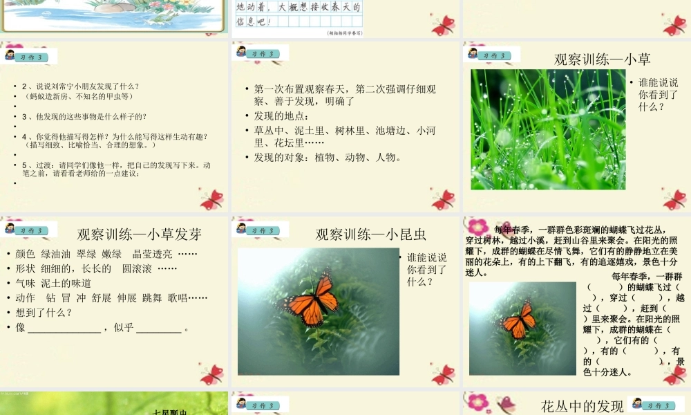 三年级语文下册 习作三《我的新发现》课件6 苏教版-苏教版小学三年级下册语文课件