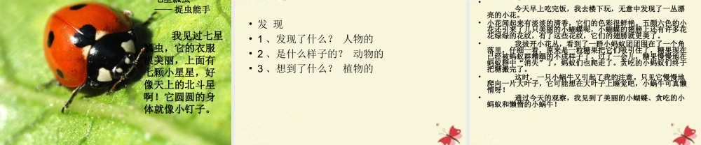 三年级语文下册 习作三《我的新发现》课件6 苏教版-苏教版小学三年级下册语文课件