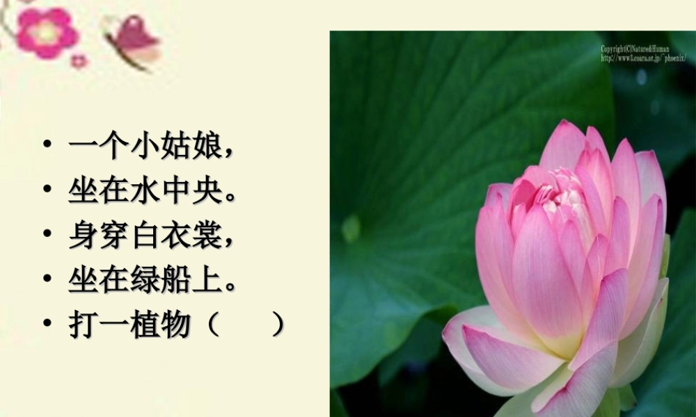 三年级语文下册 习作一《家乡的景物》课件1 新人教版-新人教版小学三年级下册语文课件