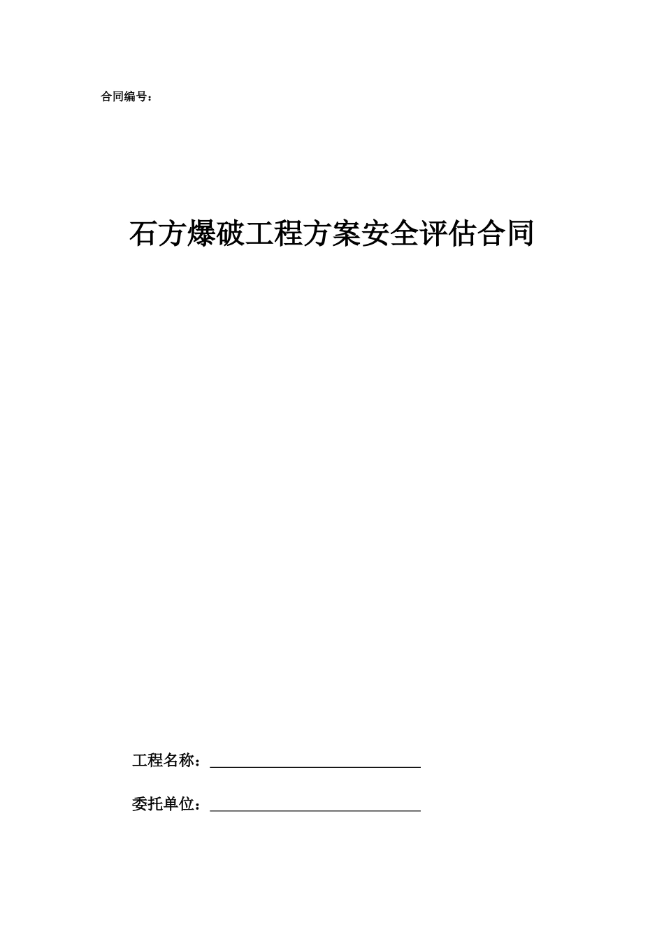 19.项目其他类合同范本—（安全评估）_第1页