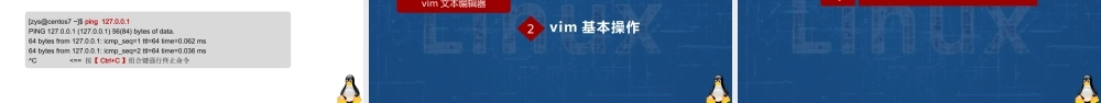 Linux网络操作系统项目教程（CentOS 7.6）项目2 初探CentOS 7.6