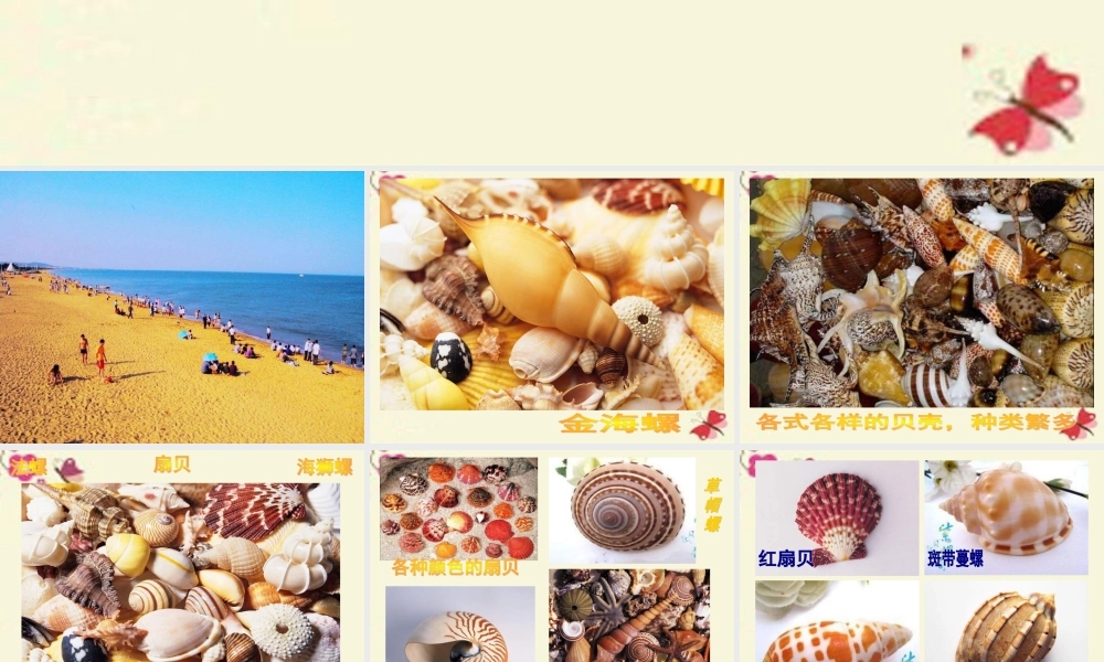 三年级语文下册 第6单元 22《在金色的海滩上》课件3 语文S版-语文S版小学三年级下册语文课件