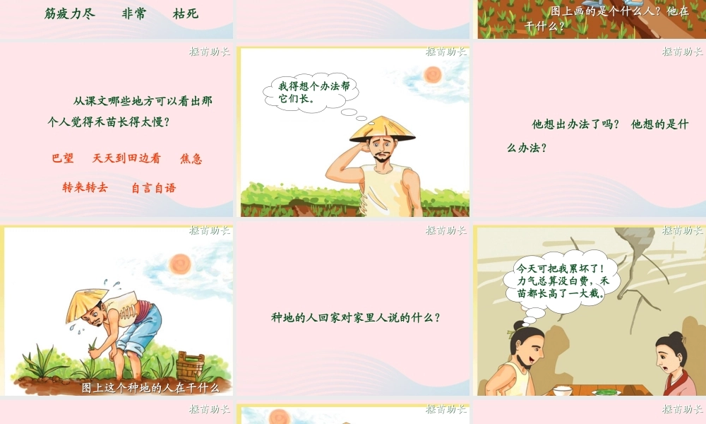 三年级语文下册 第八单元 24寓言两则课件课件2 苏教版-苏教版小学三年级下册语文课件