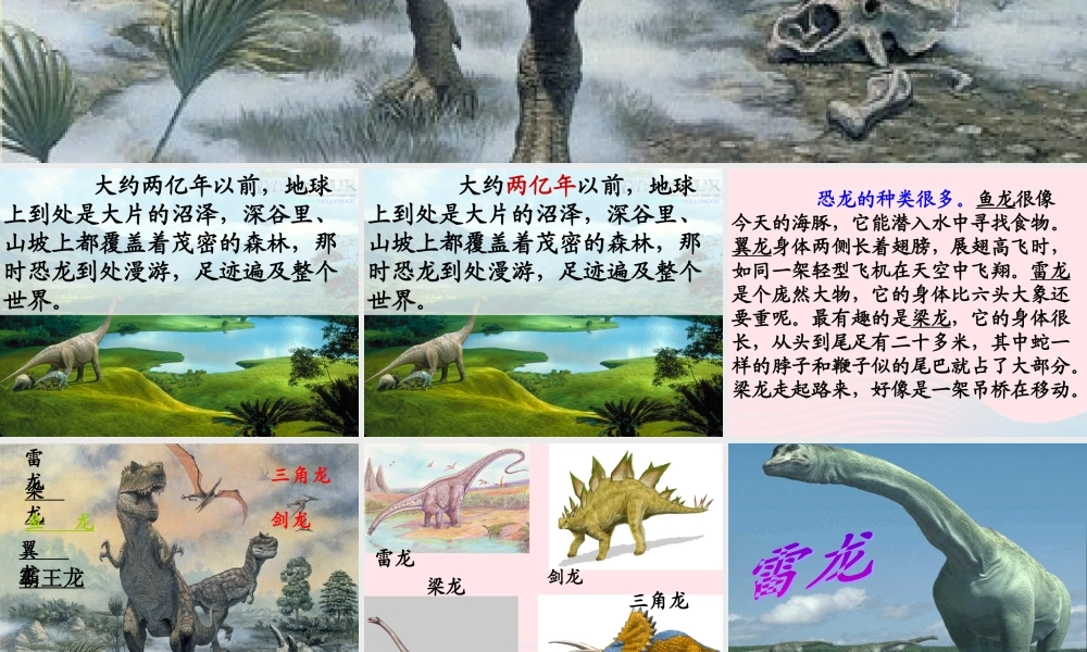 三年级语文下册 第七单元 20恐龙课件2 苏教版-苏教版小学三年级下册语文课件