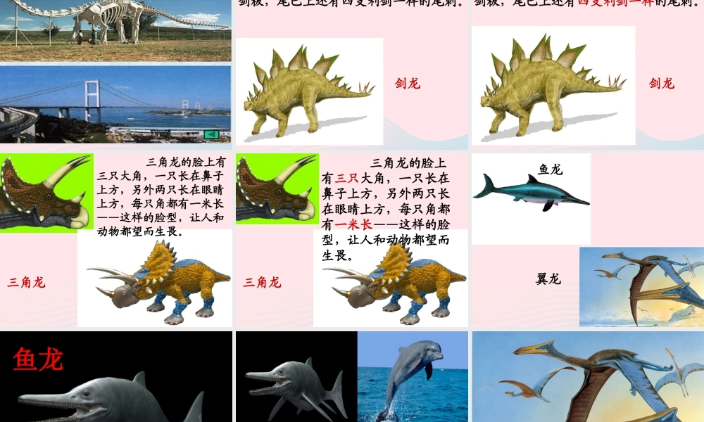 三年级语文下册 第七单元 20恐龙课件2 苏教版-苏教版小学三年级下册语文课件