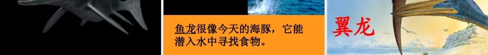 三年级语文下册 第七单元 20恐龙课件2 苏教版-苏教版小学三年级下册语文课件