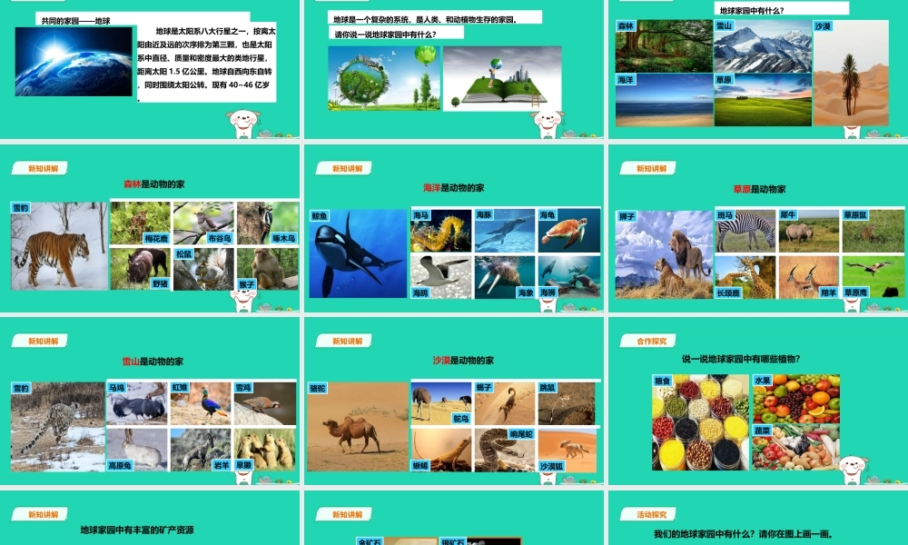 二年级科学上册 1.1 地球家园中有什么课件 教科版-教科版小学二年级上册自然科学课件