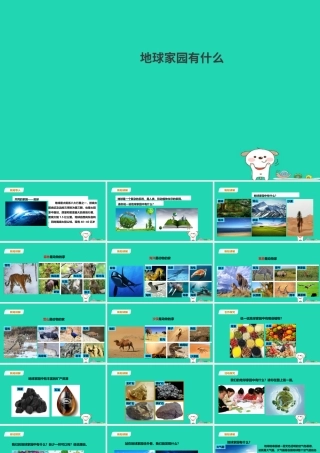 二年级科学上册 1.1 地球家园中有什么课件 教科版-教科版小学二年级上册自然科学课件