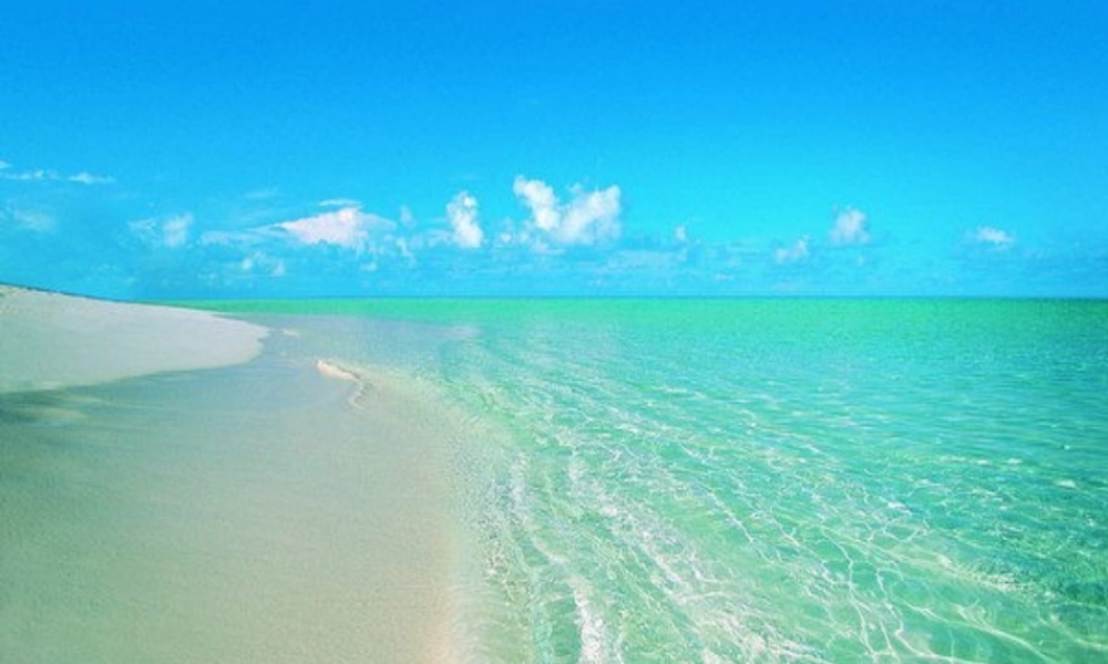 三年级语文下册 第6单元 22《在金色的海滩上》课件8 语文S版-语文S版小学三年级下册语文课件