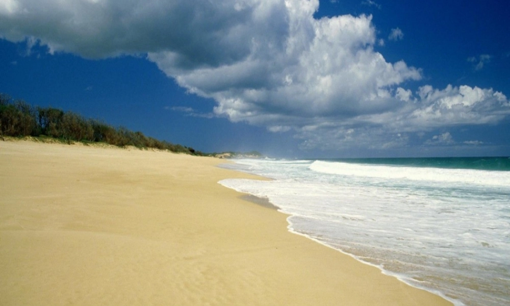 三年级语文下册 第6单元 22《在金色的海滩上》课件9 语文S版-语文S版小学三年级下册语文课件