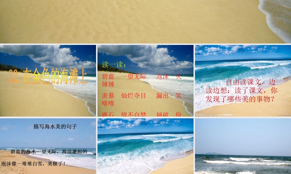 三年级语文下册 第6单元 22《在金色的海滩上》课件9 语文S版-语文S版小学三年级下册语文课件