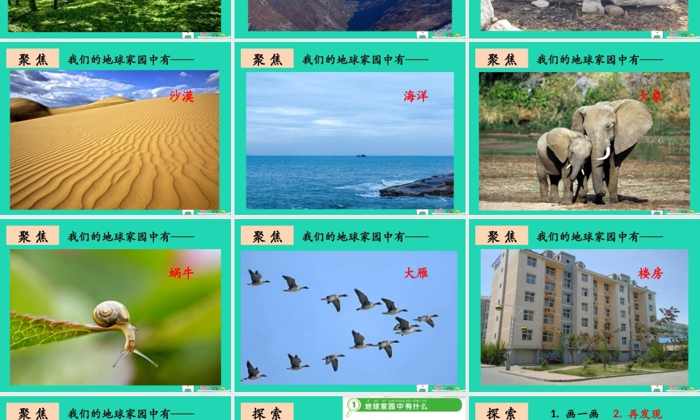 二年级科学上册 1.1 地球家园中有什么课件1 教科版-教科版小学二年级上册自然科学课件