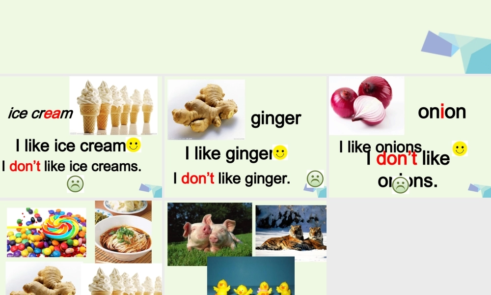 二年级英语上册 Module 2 Unit 2 I don’t like ginger课件3 外研版（一起）-外研版小学二年级上册英语课件