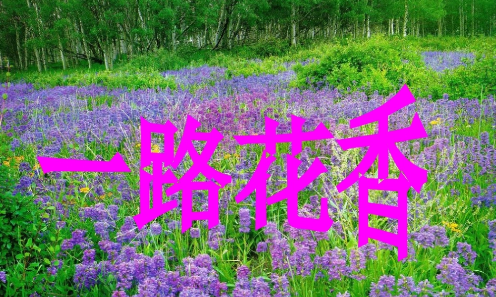 三年级语文下册 第七单元 21《一路花香》教学课件 苏教版-苏教版小学三年级下册语文课件