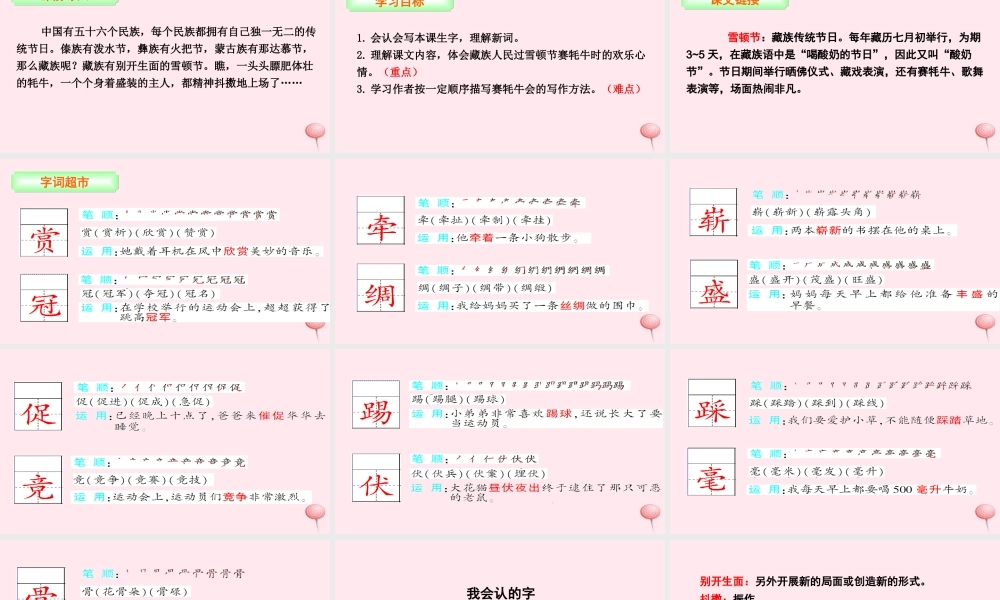 三年级语文下册 第八单元 30 雪顿节上看赛牛课件 语文S版-语文S版小学三年级下册语文课件