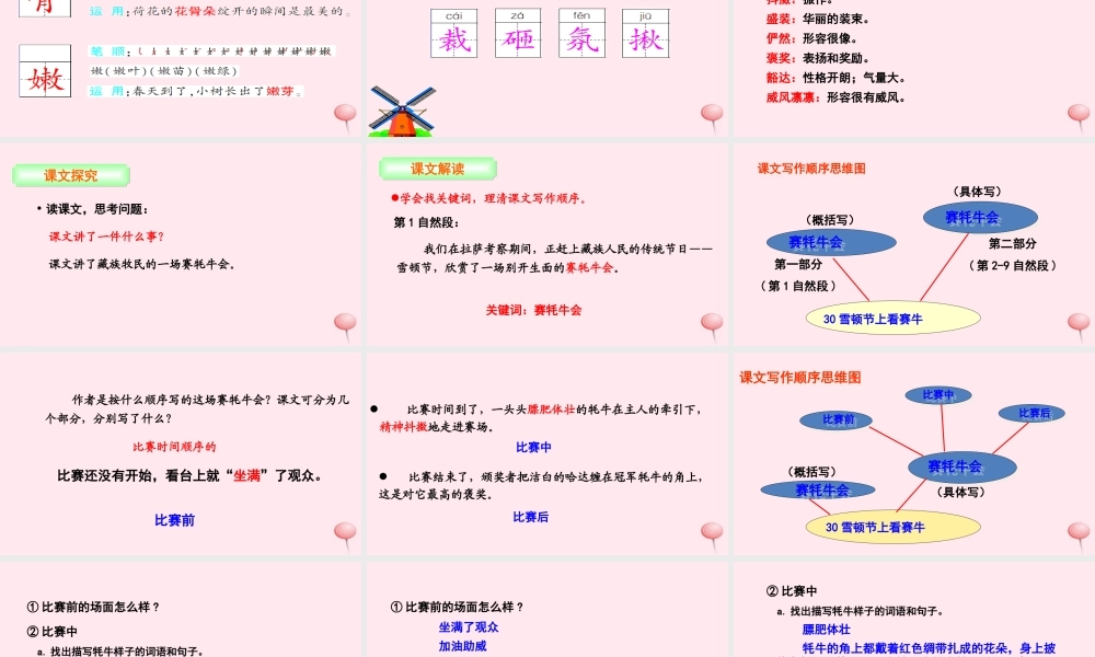 三年级语文下册 第八单元 30 雪顿节上看赛牛课件 语文S版-语文S版小学三年级下册语文课件