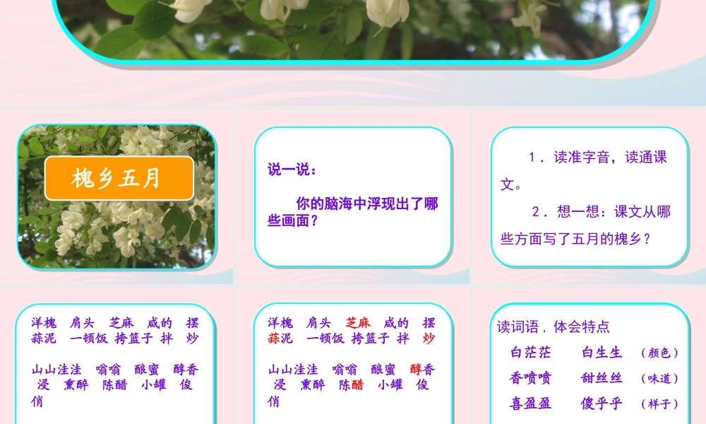 三年级语文下册 第七单元 21槐乡五月课件1 苏教版-苏教版小学三年级下册语文课件