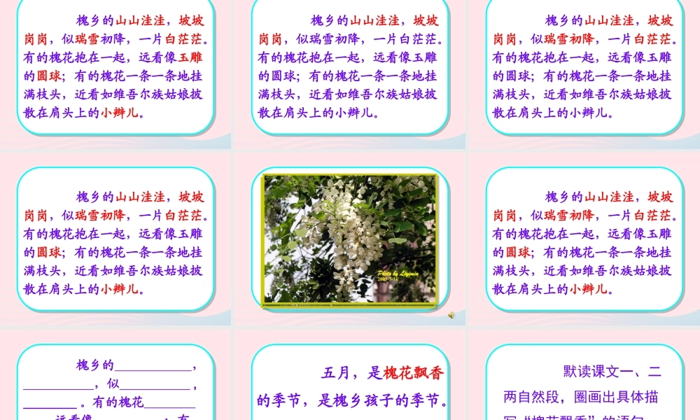 三年级语文下册 第七单元 21槐乡五月课件1 苏教版-苏教版小学三年级下册语文课件