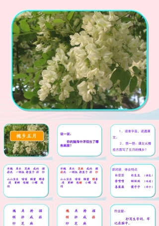 三年级语文下册 第七单元 21槐乡五月课件1 苏教版-苏教版小学三年级下册语文课件
