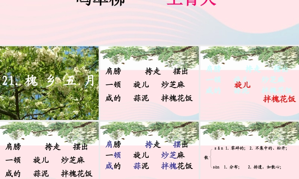 三年级语文下册 第七单元 21槐乡五月课件2 苏教版-苏教版小学三年级下册语文课件