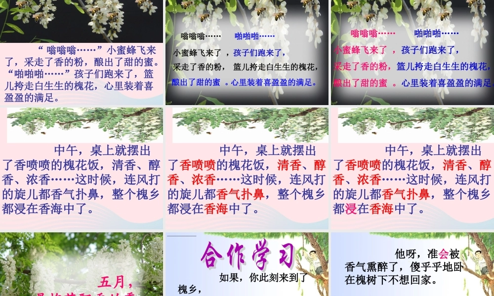 三年级语文下册 第七单元 21槐乡五月课件2 苏教版-苏教版小学三年级下册语文课件