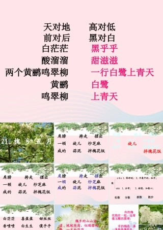 三年级语文下册 第七单元 21槐乡五月课件2 苏教版-苏教版小学三年级下册语文课件