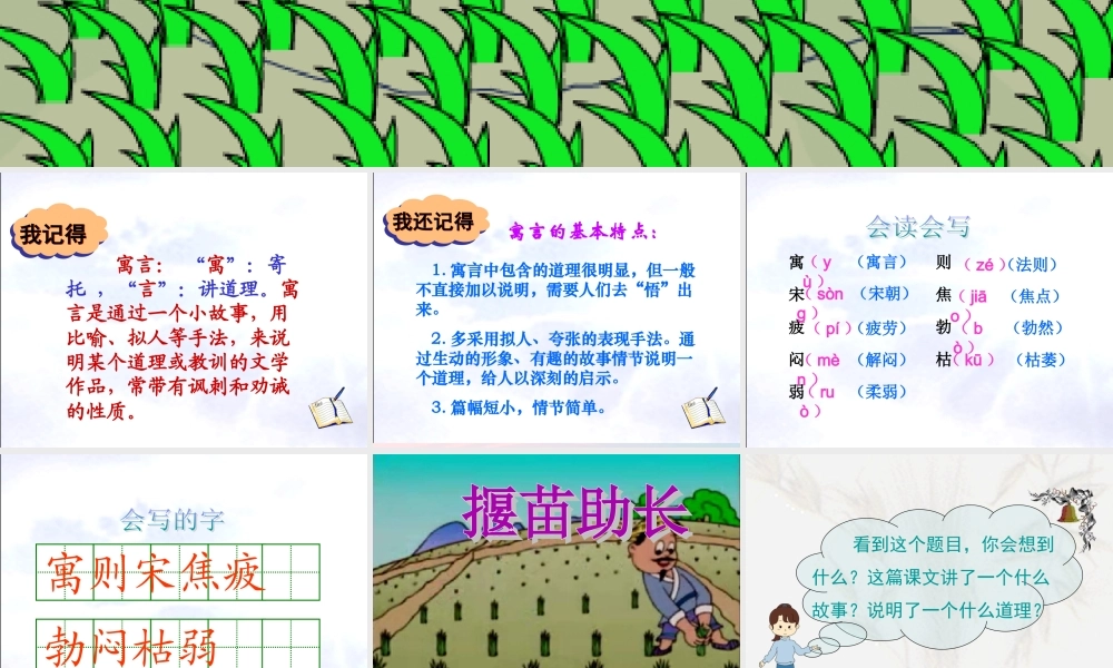 三年级语文下册 第八单元 第24课《寓言两则》课件 苏教版-苏教版小学三年级下册语文课件