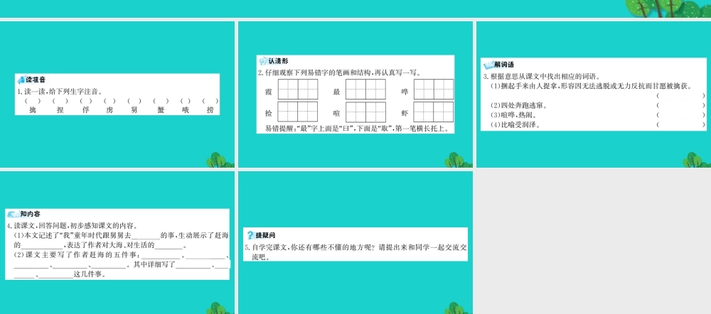 三年级语文下册 第八单元 25《赶海》预习课件 苏教版-苏教版小学三年级下册语文课件