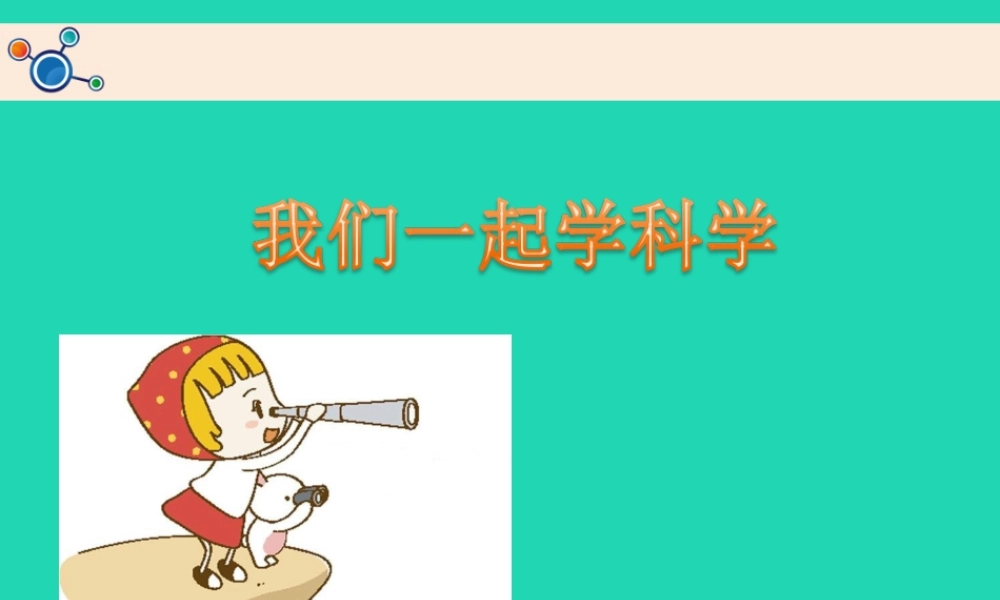 二年级科学上册 1.2 土壤——动植物的乐园课件 教科版-教科版小学二年级上册自然科学课件