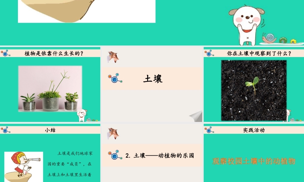 二年级科学上册 1.2 土壤——动植物的乐园课件 教科版-教科版小学二年级上册自然科学课件