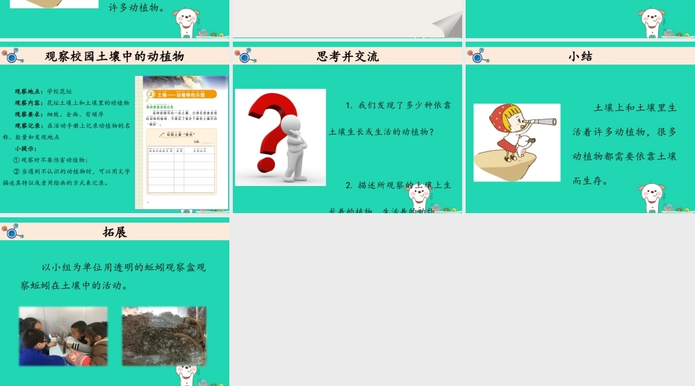 二年级科学上册 1.2 土壤——动植物的乐园课件 教科版-教科版小学二年级上册自然科学课件