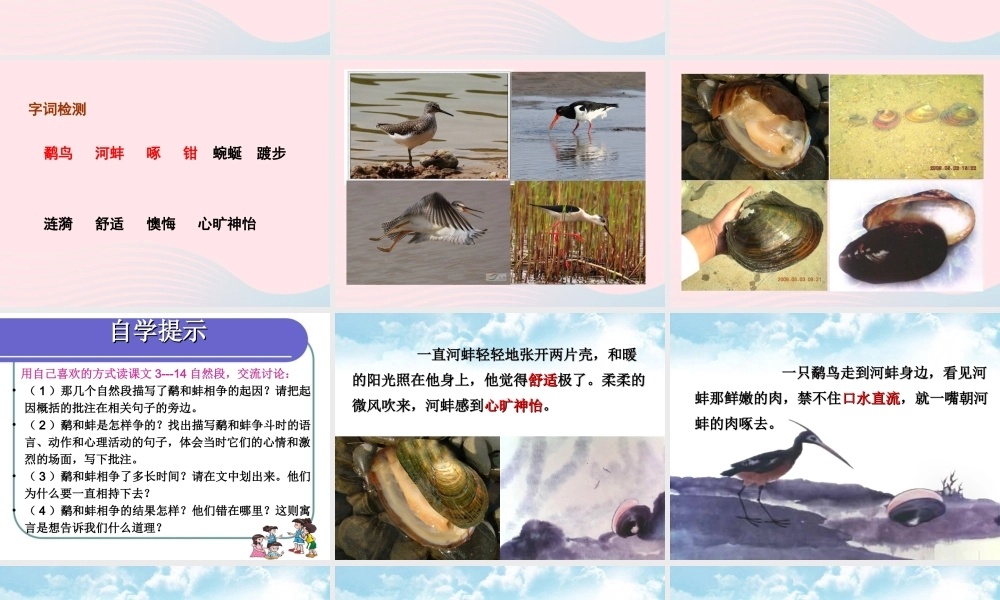 三年级语文下册 第八单元 第24课《鹬蚌相争》课件 苏教版-苏教版小学三年级下册语文课件