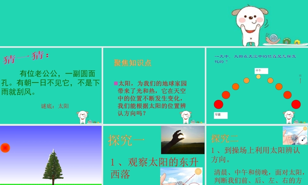 二年级科学上册 1.3《太阳的位置和方向》课件 教科版-教科版小学二年级上册自然科学课件