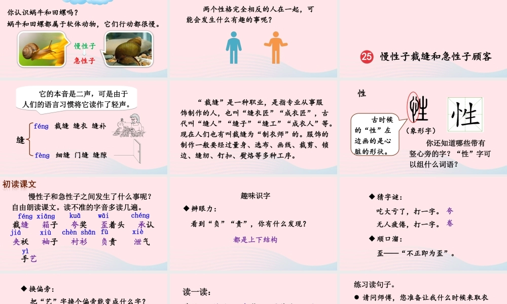 三年级语文下册 第八单元 25《慢性子裁缝和急性子顾客》教学课件 新人教版-新人教版小学三年级下册语文课件