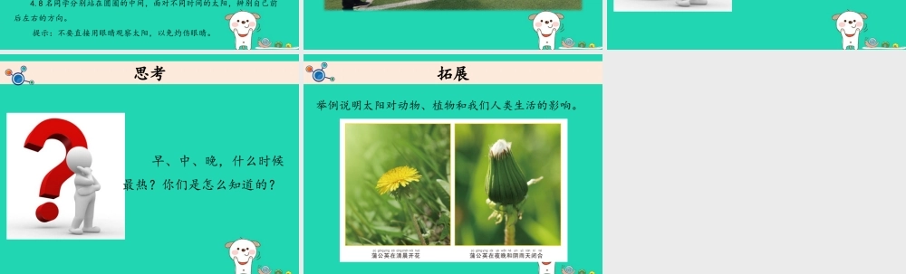 二年级科学上册 1.3太阳的位置和方向课件 教科版-教科版小学二年级上册自然科学课件