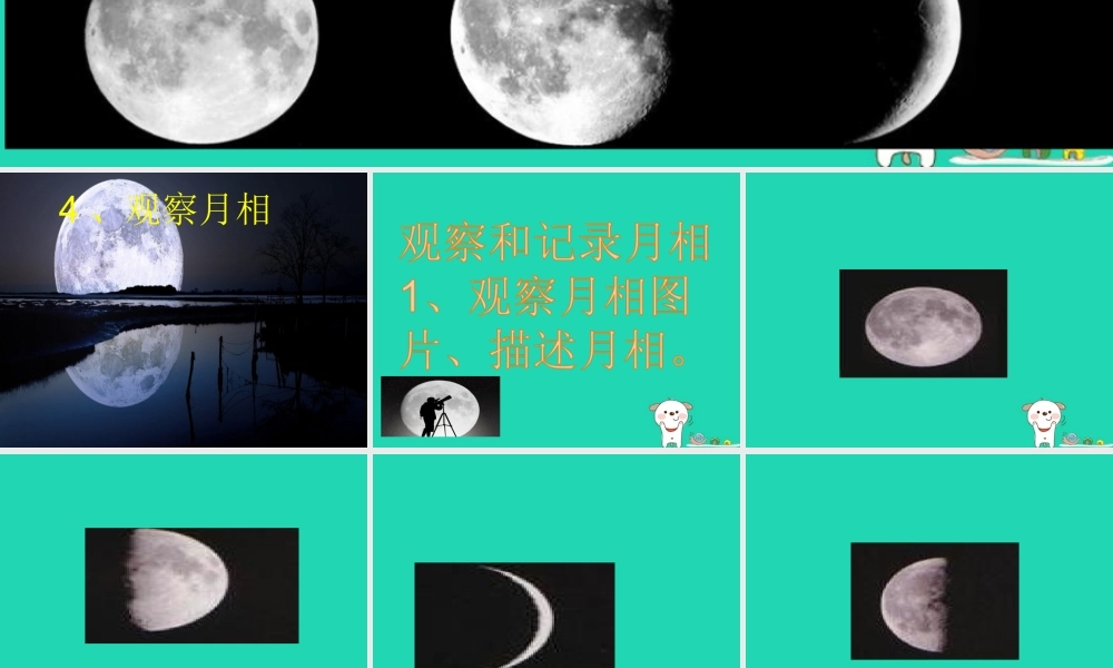 二年级科学上册 1.4 观察月相课件 教科版-教科版小学二年级上册自然科学课件