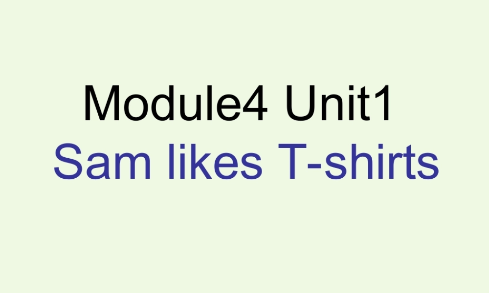 二年级英语上册 Module 4 Unit 1 Sam like T-shirts课件1 外研版（一起）-外研版小学二年级上册英语课件