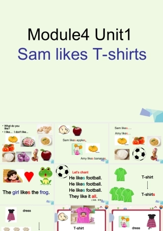 二年级英语上册 Module 4 Unit 1 Sam like T-shirts课件1 外研版（一起）-外研版小学二年级上册英语课件