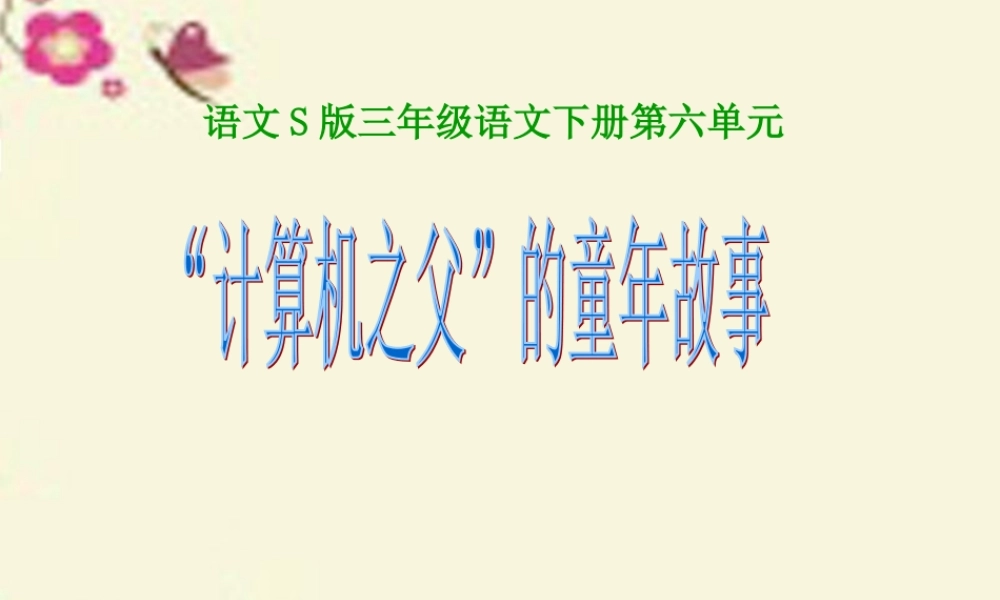 三年级语文下册 第6单元 24《“计算机的故事》课件6 语文S版-语文S级下册语文课件