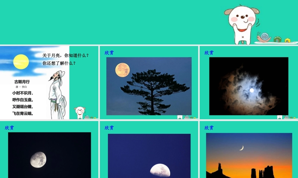 二年级科学上册 1.4《观察月相》课件 教科版-教科版小学二年级上册自然科学课件