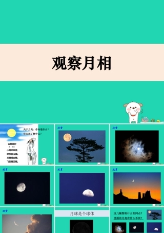 二年级科学上册 1.4《观察月相》课件 教科版-教科版小学二年级上册自然科学课件