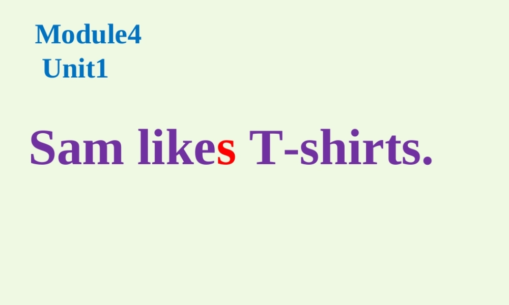 二年级英语上册 Module 4 Unit 1 Sam like T-shirts课件2 外研版（一起）-外研版小学二年级上册英语课件