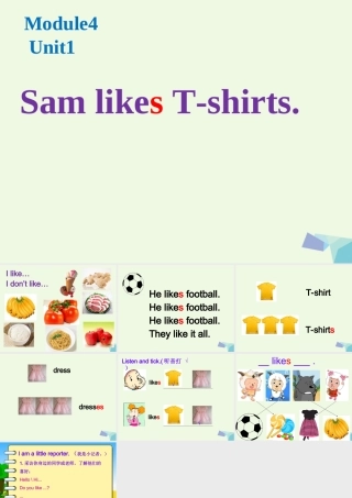 二年级英语上册 Module 4 Unit 1 Sam like T-shirts课件2 外研版（一起）-外研版小学二年级上册英语课件